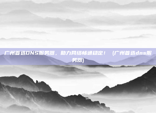 广州首选DNS服务器,助力网络畅通稳定! (广州首选dns服务器)