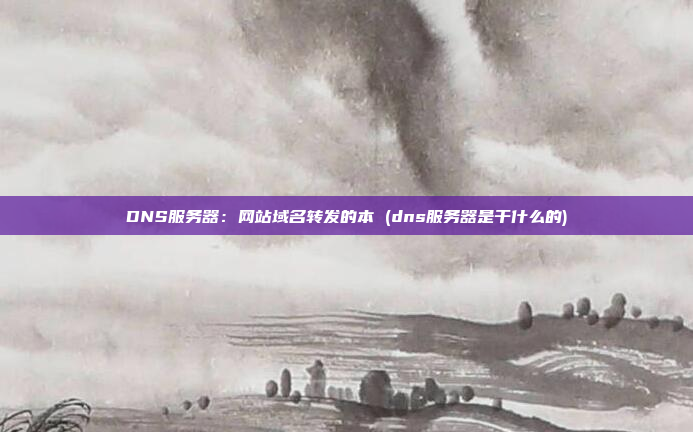 DNS服务器:网站域名转发的本 (dns服务器是干什么的)