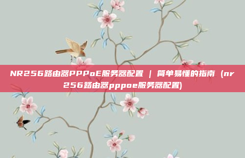 NR256路由器PPPoE服务器配置 | 简单易懂的指南 (nr256路由器pppoe服务器配置)