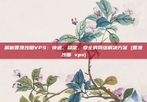 解析香港沙田VPS:快速、稳定、安全的网络解决方案 (香港沙田 vps)