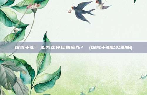 虚拟主机:能否实现挂机操作? (虚拟主机能挂机吗)