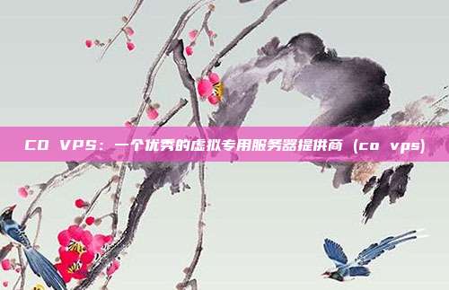 CO VPS:一个优秀的虚拟专用服务器提供商 (co vps)
