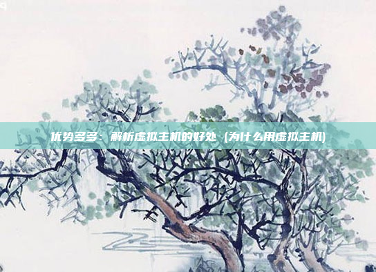 优势多多:解析虚拟主机的好处 (为什么用虚拟主机)
