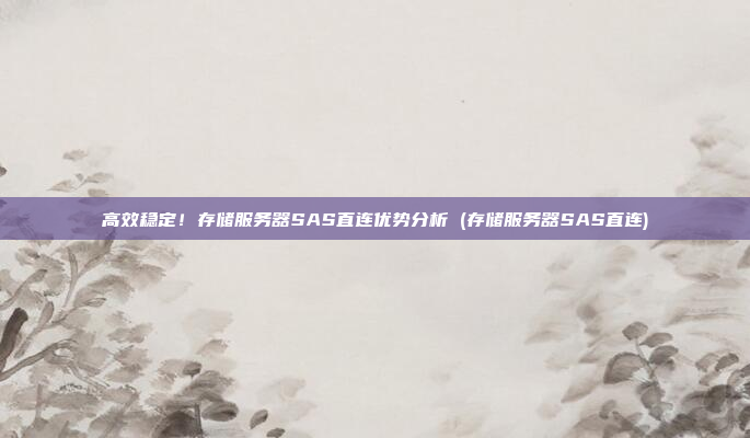 高效稳定!存储服务器SAS直连优势分析 (存储服务器SAS直连)