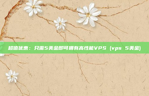 超值优惠:只需5美金即可拥有高性能VPS (vps 5美金)