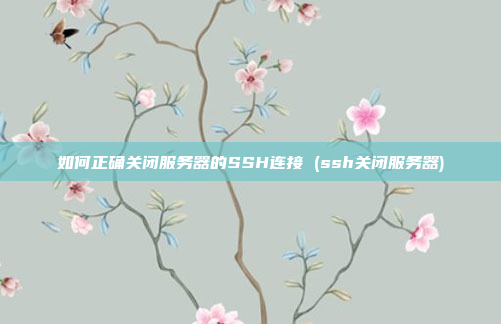 如何正确关闭服务器的SSH连接 (ssh关闭服务器)