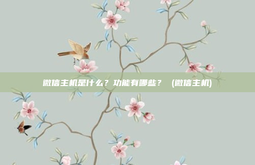 微信主机是什么?功能有哪些? (微信主机)