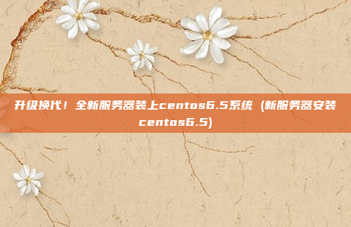 升级换代!全新服务器装上centos6.5系统 (新服务器安装centos6.5)