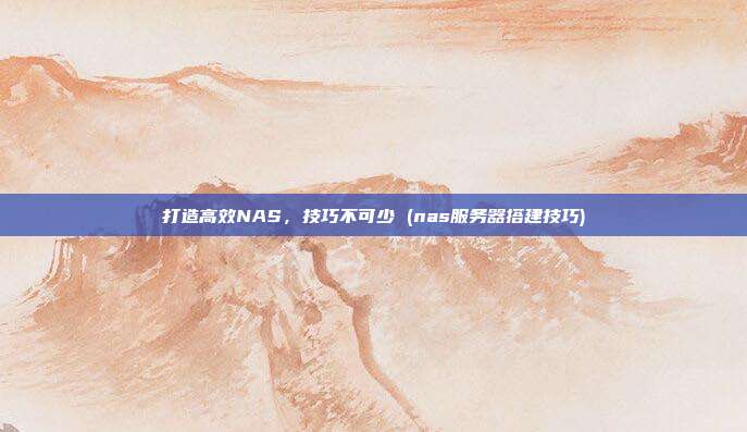 打造高效NAS,技巧不可少 (nas服务器搭建技巧)