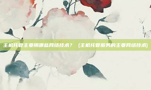主机托管主要用哪些网络技术? (主机托管服务的主要网络技术)
