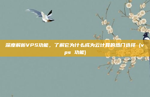 深度解析VPS功能,了解它为什么成为云计算的热门选择 (vps 功能)