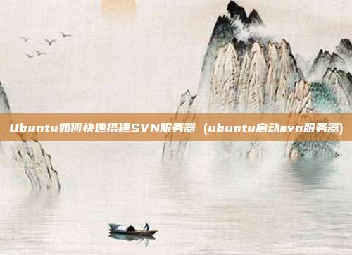 Ubuntu如何快速搭建SVN服务器 (ubuntu启动svn服务器)