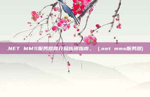 .NET MMS服务器简介和应用指南。 (.net mms服务器)