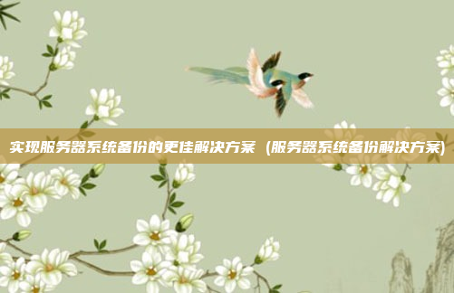 实现服务器系统备份的更佳解决方案 (服务器系统备份解决方案)