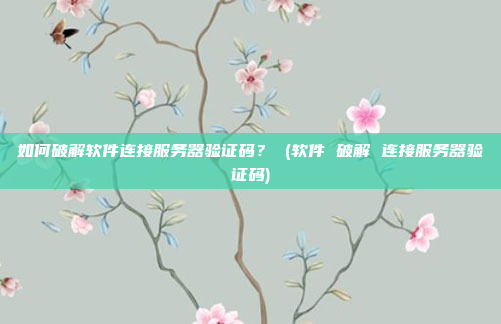 如何破解软件连接服务器验证码? (软件 破解 连接服务器验证码)