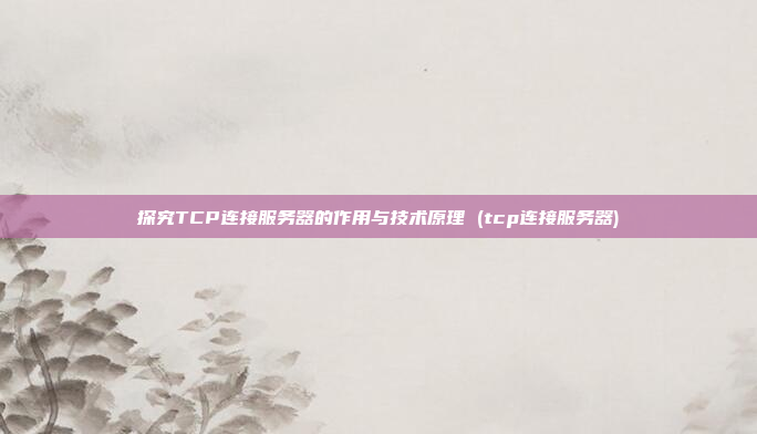 探究TCP连接服务器的作用与技术原理 (tcp连接服务器)