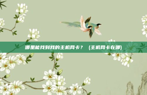 哪里能找到我的主机网卡? (主机网卡在哪)