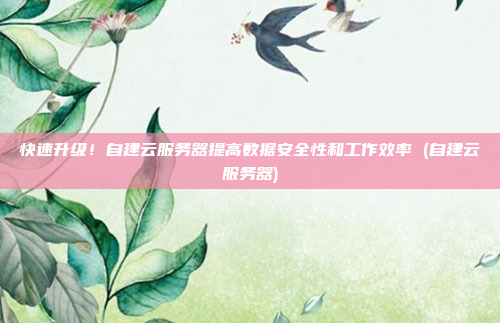 快速升级!自建云服务器提高数据安全性和工作效率 (自建云服务器)