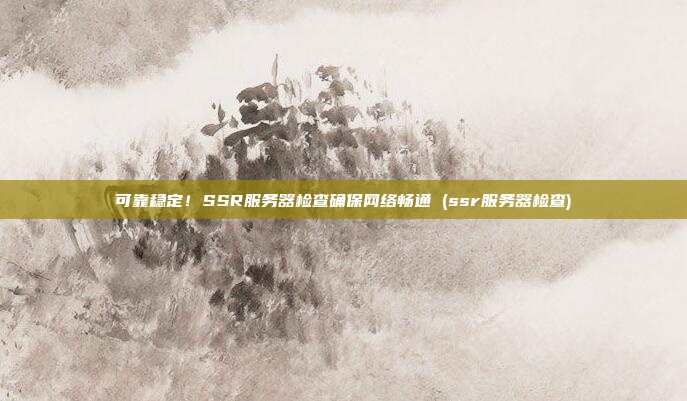 可靠稳定!SSR服务器检查确保网络畅通 (ssr服务器检查)