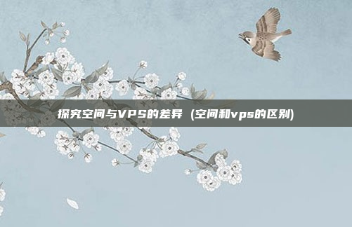 探究空间与VPS的差异 (空间和vps的区别)