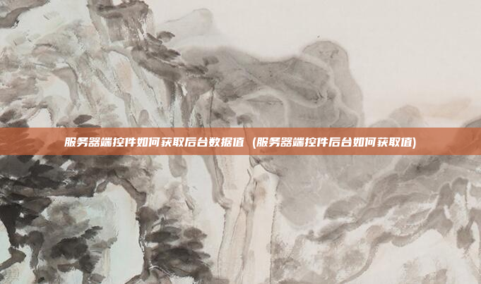 服务器端控件如何获取后台数据值 (服务器端控件后台如何获取值)
