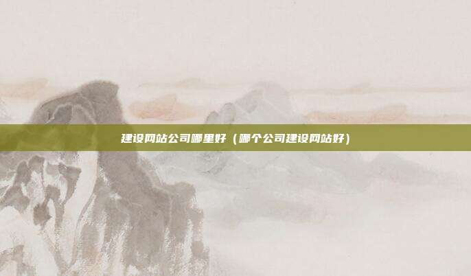 建设网站公司哪里好（哪个公司建设网站好）