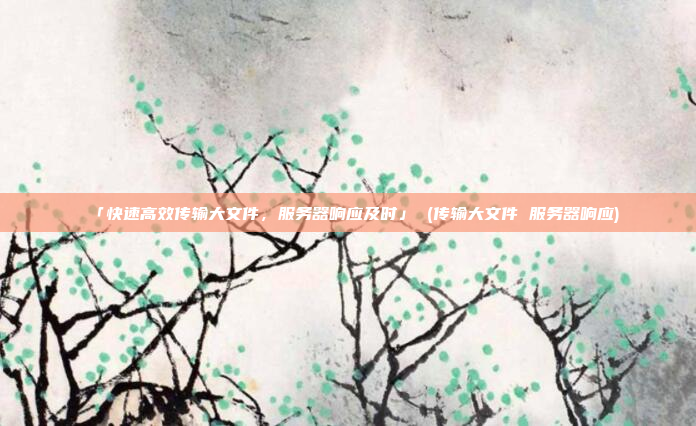 「快速高效传输大文件,服务器响应及时」 (传输大文件 服务器响应)