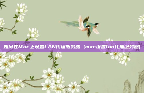 如何在Mac上设置LAN代理服务器 (mac设置lan代理服务器)
