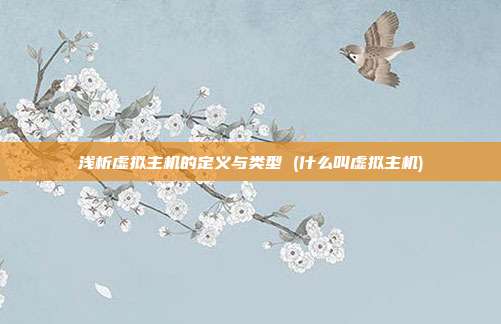 浅析虚拟主机的定义与类型 (什么叫虚拟主机)