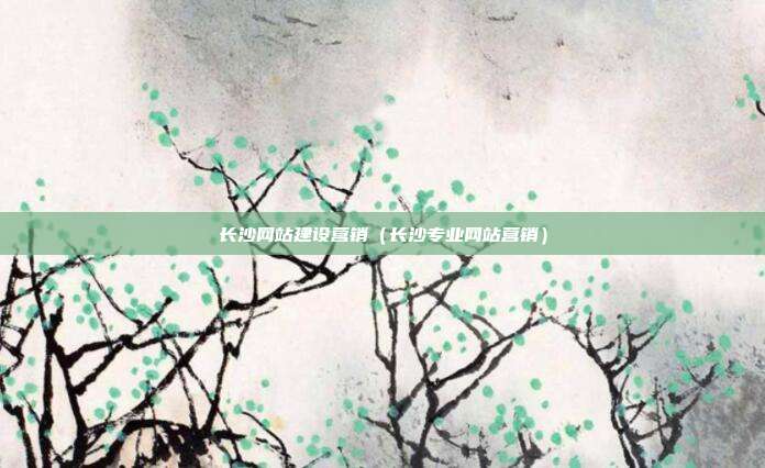 长沙网站建设营销（长沙专业网站营销）