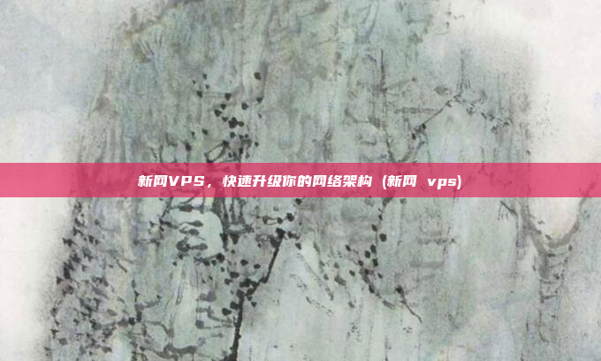 新网VPS,快速升级你的网络架构 (新网 vps)