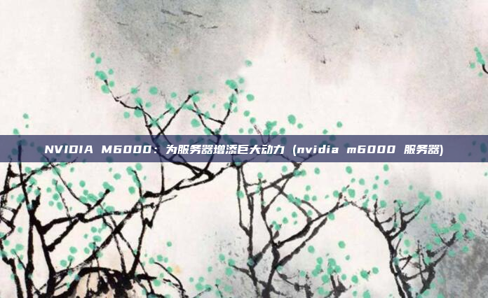 NVIDIA M6000:为服务器增添巨大动力 (nvidia m6000 服务器)