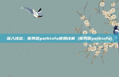 深入浅出:服务器pathinfo使用详解 (服务器pathinfo)