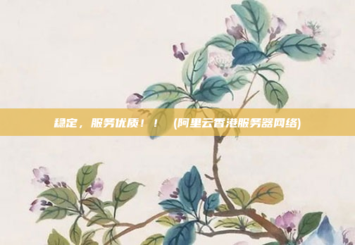 稳定,服务优质!! (阿里云香港服务器网络)