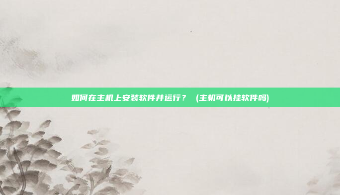 如何在主机上安装软件并运行? (主机可以挂软件吗)