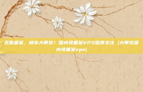 无需备案,畅享大带宽!国内免备案VPS值得关注 (大带宽国内免备案vps)