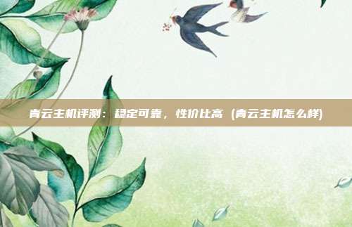 青云主机评测:稳定可靠,性价比高 (青云主机怎么样)