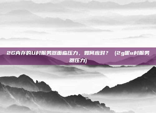 2G内存的U村服务器面临压力,如何应对? (2g呢u村服务器压力)