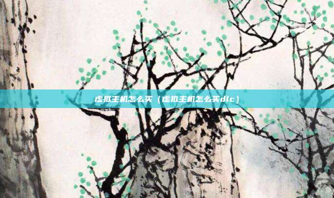 虚拟主机怎么买（虚拟主机怎么买dlc）