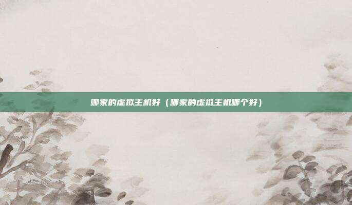 哪家的虚拟主机好（哪家的虚拟主机哪个好）
