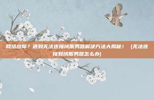 网络故障?遇到无法连接域服务器解决方法大揭秘! (无法连接到域服务器怎么办)