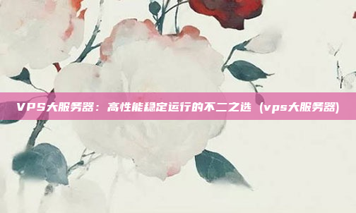 VPS大服务器:高性能稳定运行的不二之选 (vps大服务器)
