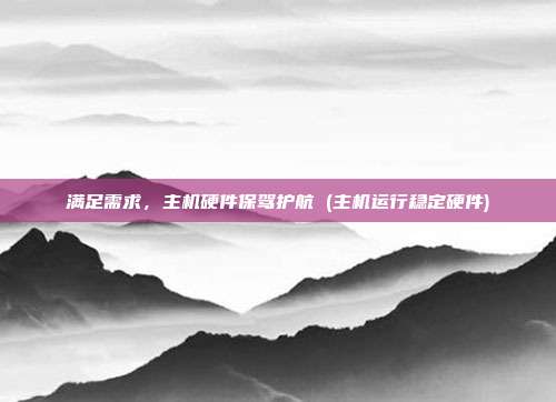 满足需求,主机硬件保驾护航 (主机运行稳定硬件)