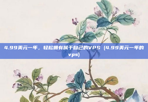 4.99美元一年,轻松拥有属于自己的VPS (4.99美元一年的vps)