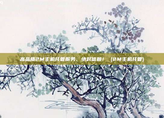 高品质2M主机托管服务,绝对信赖! (2M主机托管)