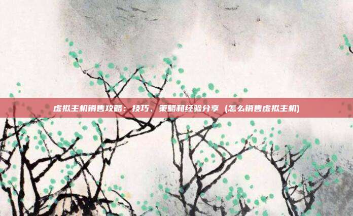 虚拟主机销售攻略:技巧、策略和经验分享 (怎么销售虚拟主机)