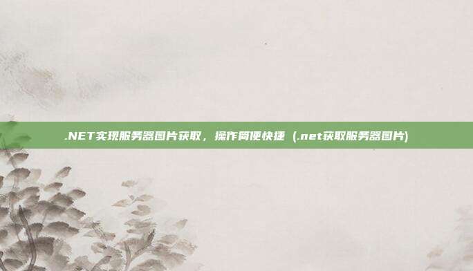 .NET实现服务器图片获取,操作简便快捷 (.net获取服务器图片)