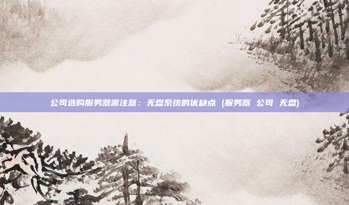 公司选购服务器需注意：无盘系统的优缺点 (服务器 公司 无盘)