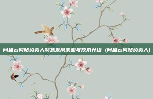 阿里云网站负责人聚焦发展策略与技术升级 (阿里云网站负责人)