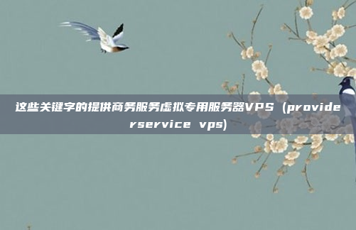 这些关键字的提供商务服务虚拟专用服务器VPS (providerservice vps)